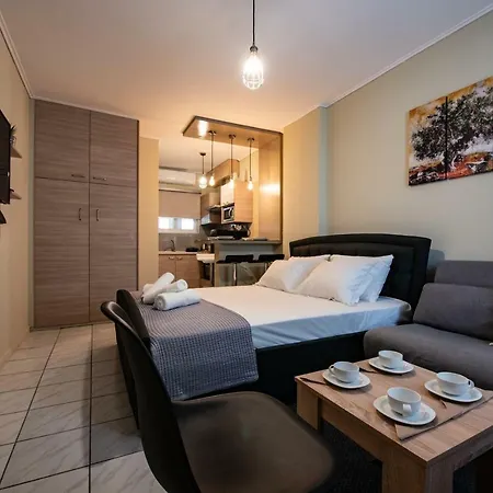 Olive House Apartment Ioannina Exterior photo